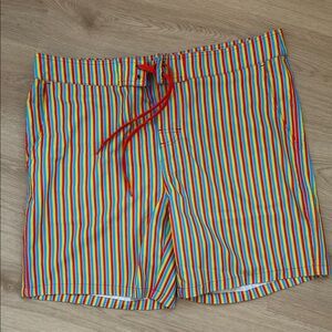 Men’s Colorful Kortni Jeane Striped Swim Shorts